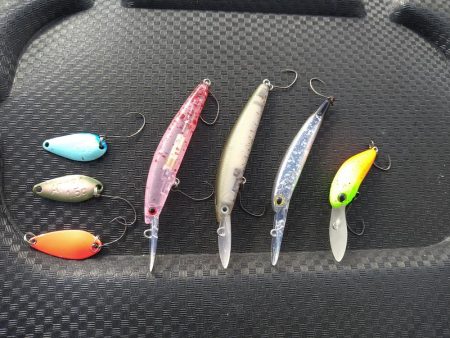 2ヶ月半ぶり釣行